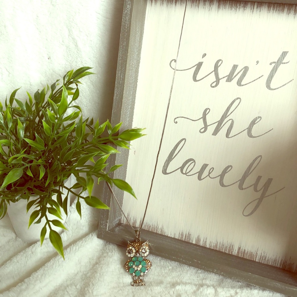 Give a hoot Necklace